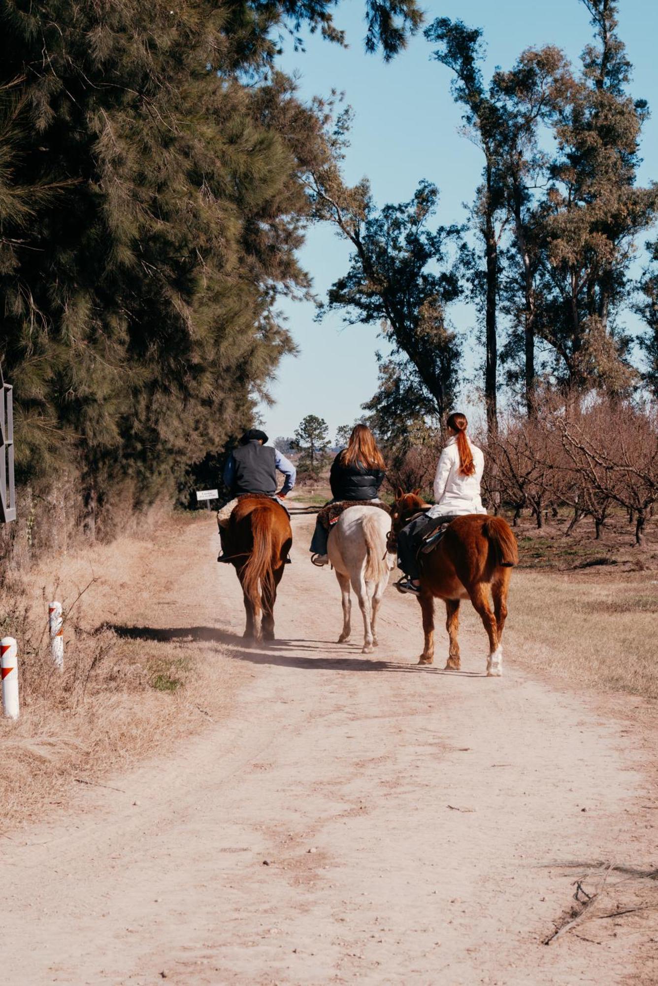 La Santina Posada & Experiencias De Campo San Pedro  Exterior foto