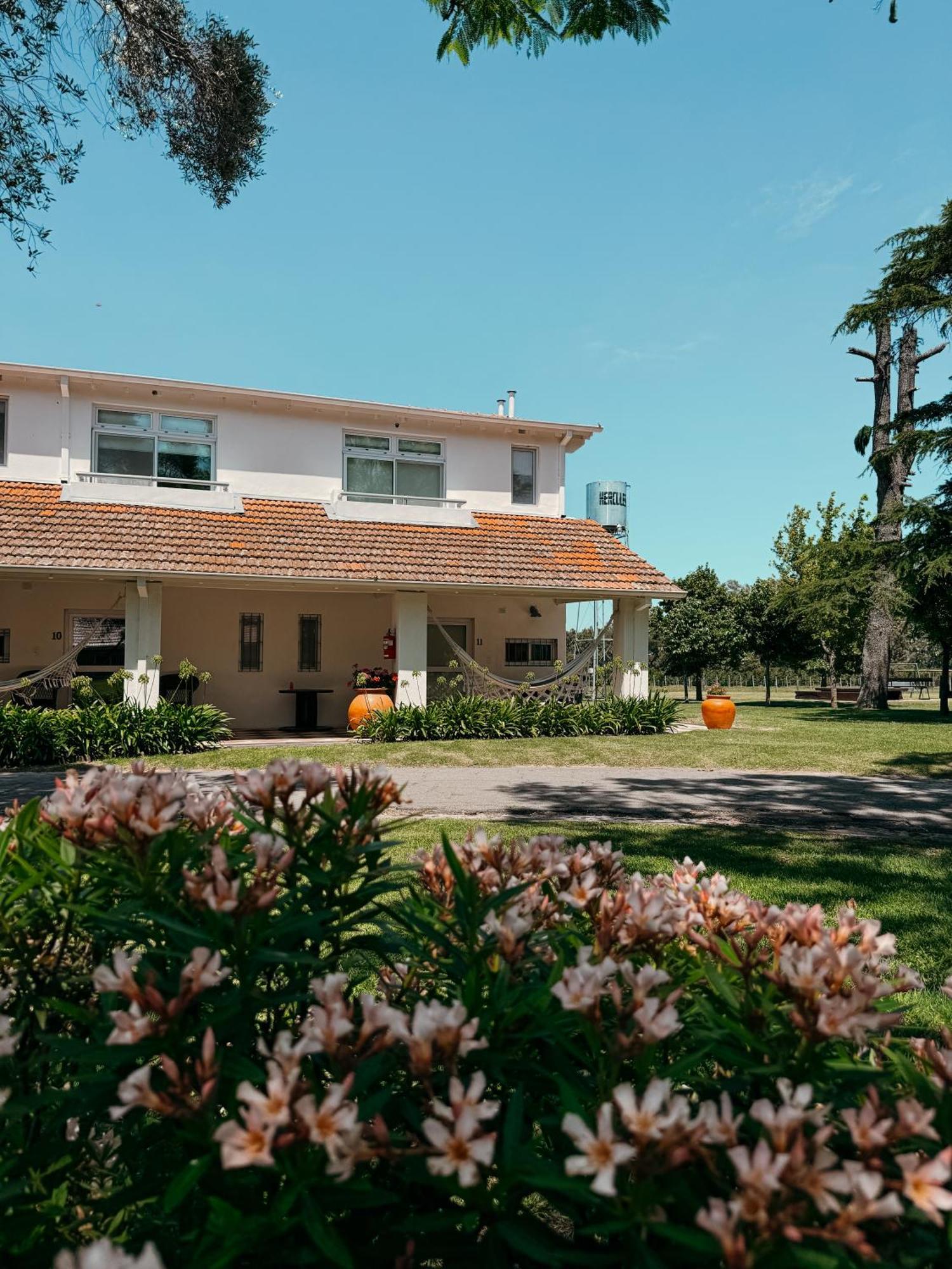 La Santina Posada & Experiencias De Campo San Pedro  Exterior foto
